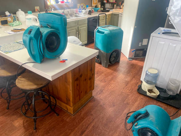 Best Water damage cleanup near me  in South Coatesville, PA