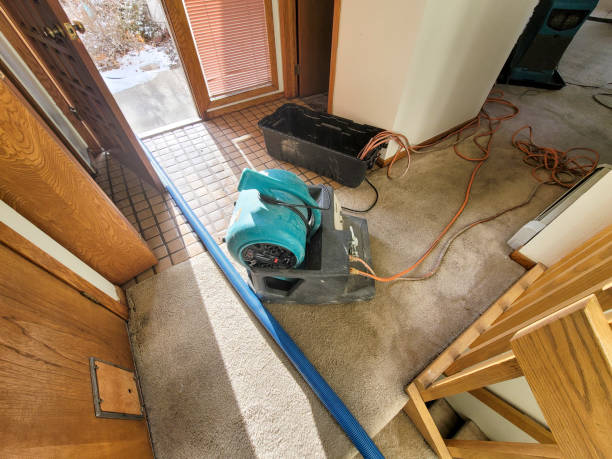 Best Flooded house restoration  in South Coatesville, PA