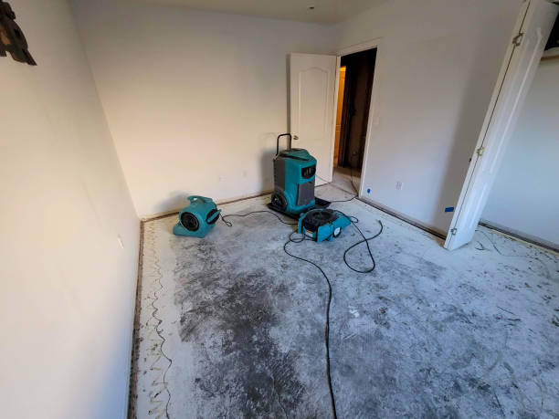 Best Water damage restoration services  in South Coatesville, PA