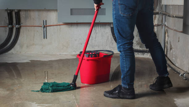 Best Water damage mitigation services  in South Coatesville, PA