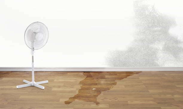 Sewage cleanup and water damage restoration in South Coatesville, PA