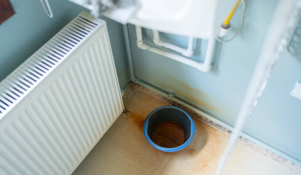 Best Mold removal after water damage  in South Coatesville, PA