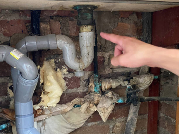 Best Basement water damage restoration  in South Coatesville, PA